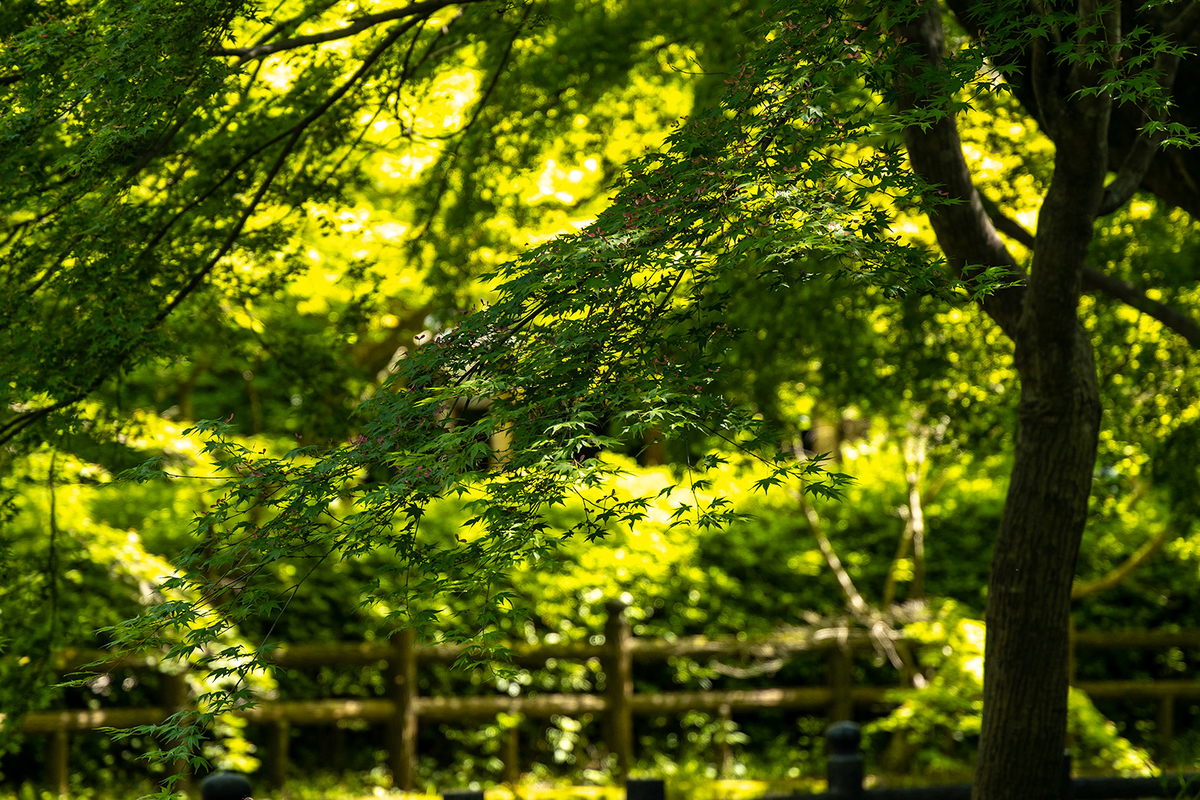 和歌山県根来寺