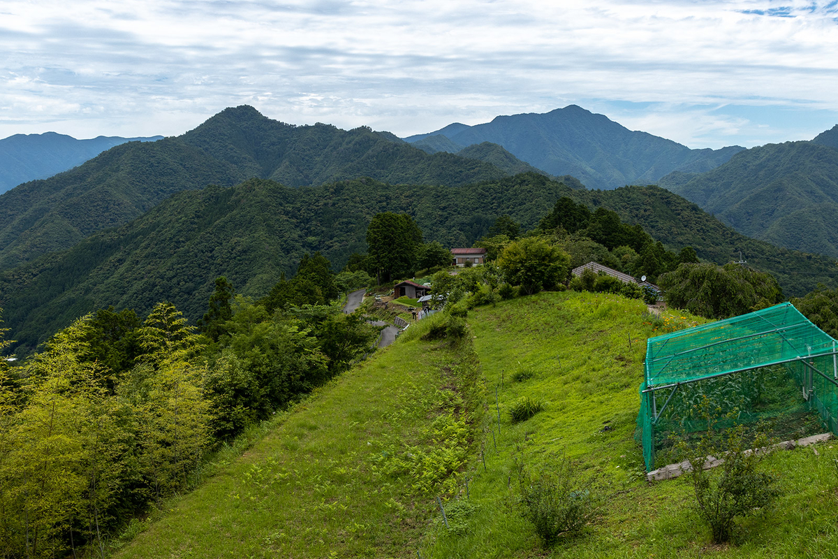 奈良県の秘境の絶景、十津川村の果無集落