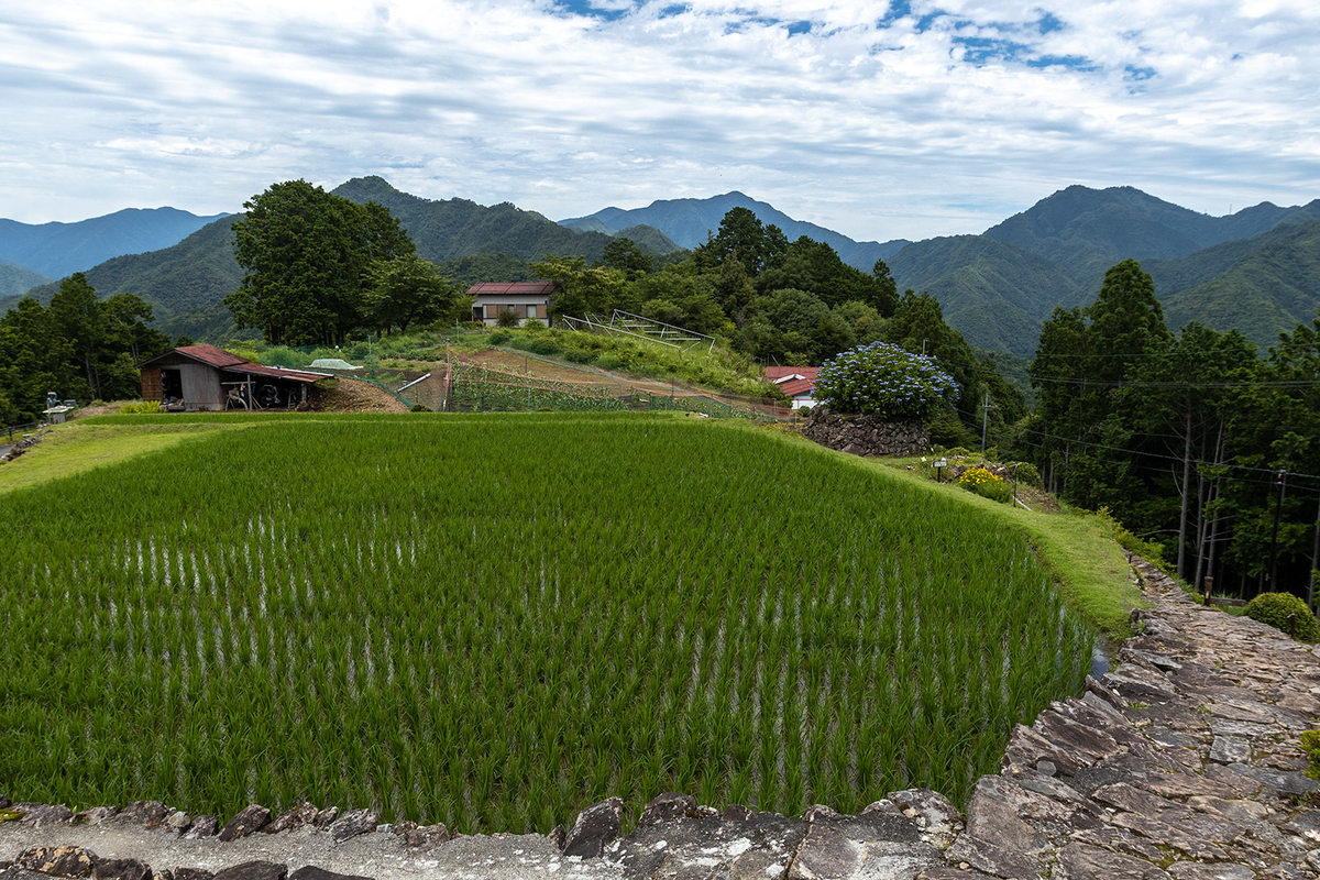 奈良県の秘境の絶景、十津川村の果無集落