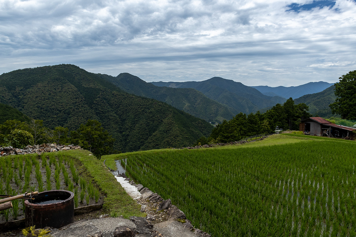 奈良県の秘境の絶景、十津川村の果無集落