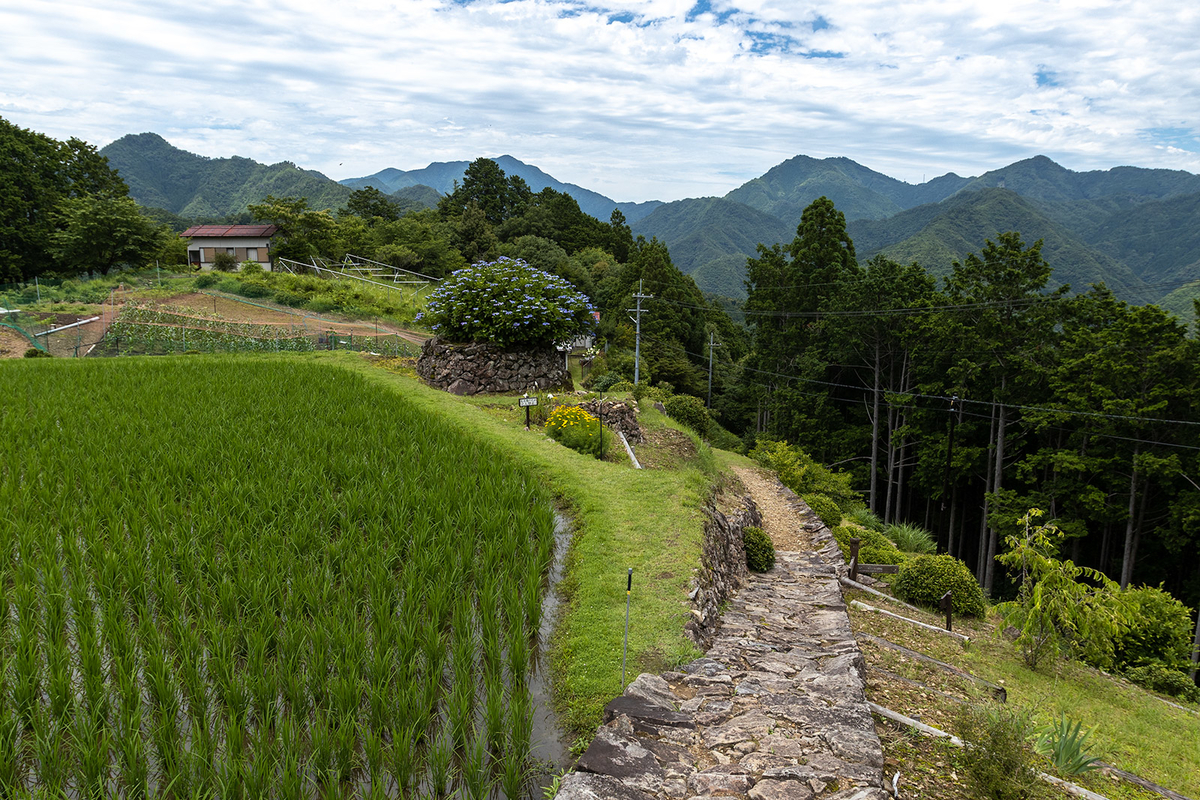 奈良県の秘境の絶景、十津川村の果無集落