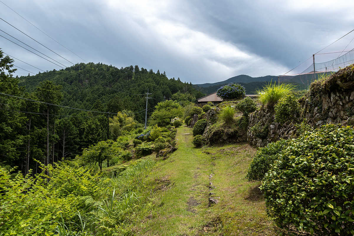 奈良県の秘境の絶景、十津川村の果無集落