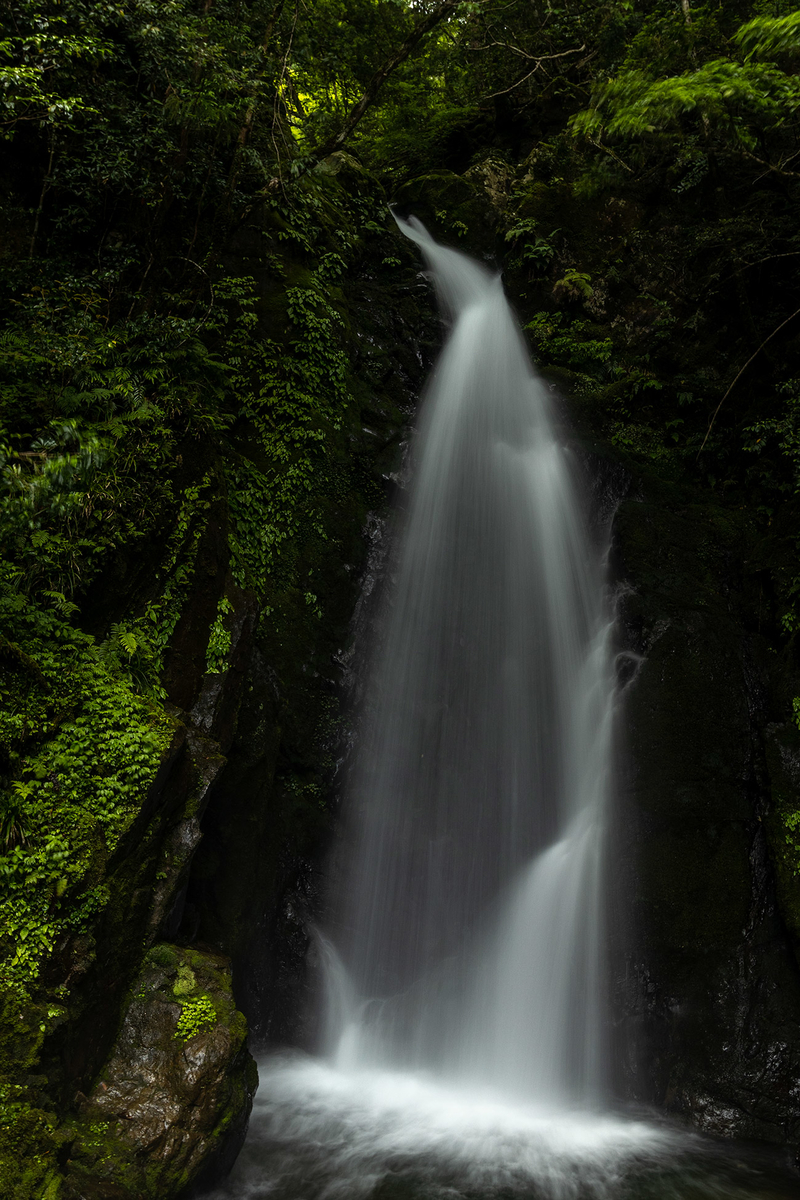 奈良県の秘境の絶景、十津川村の果無集落