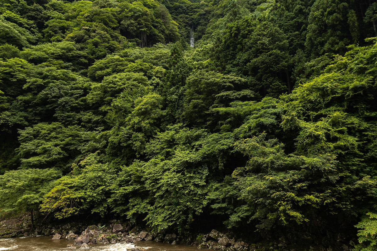 室生火山群が造りあげた奇勝、香落渓（かおちだに）