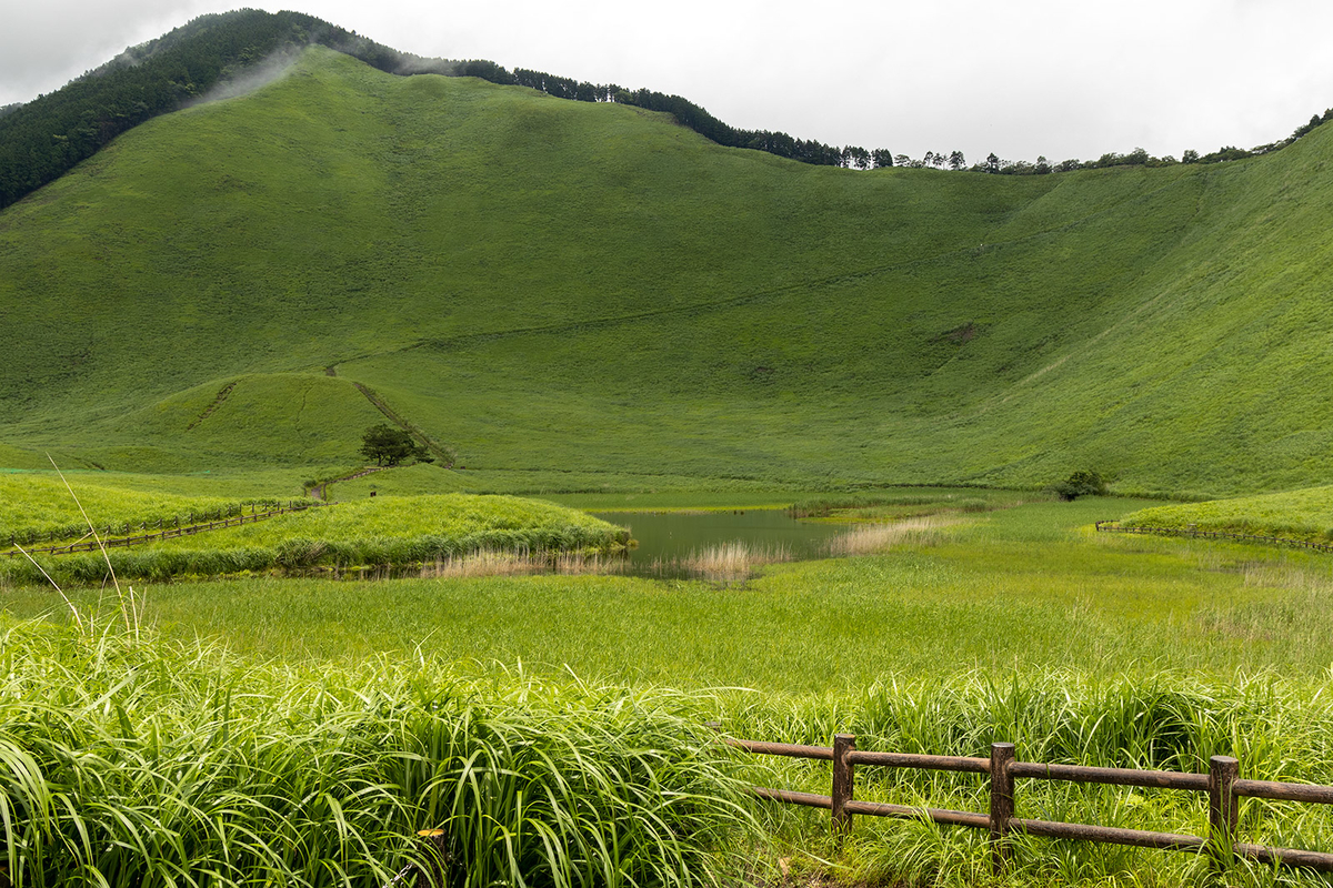 曽爾高原