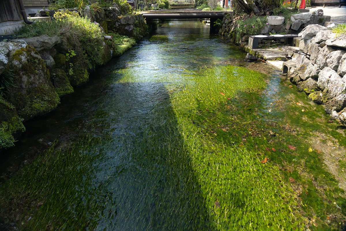 醒ヶ井宿