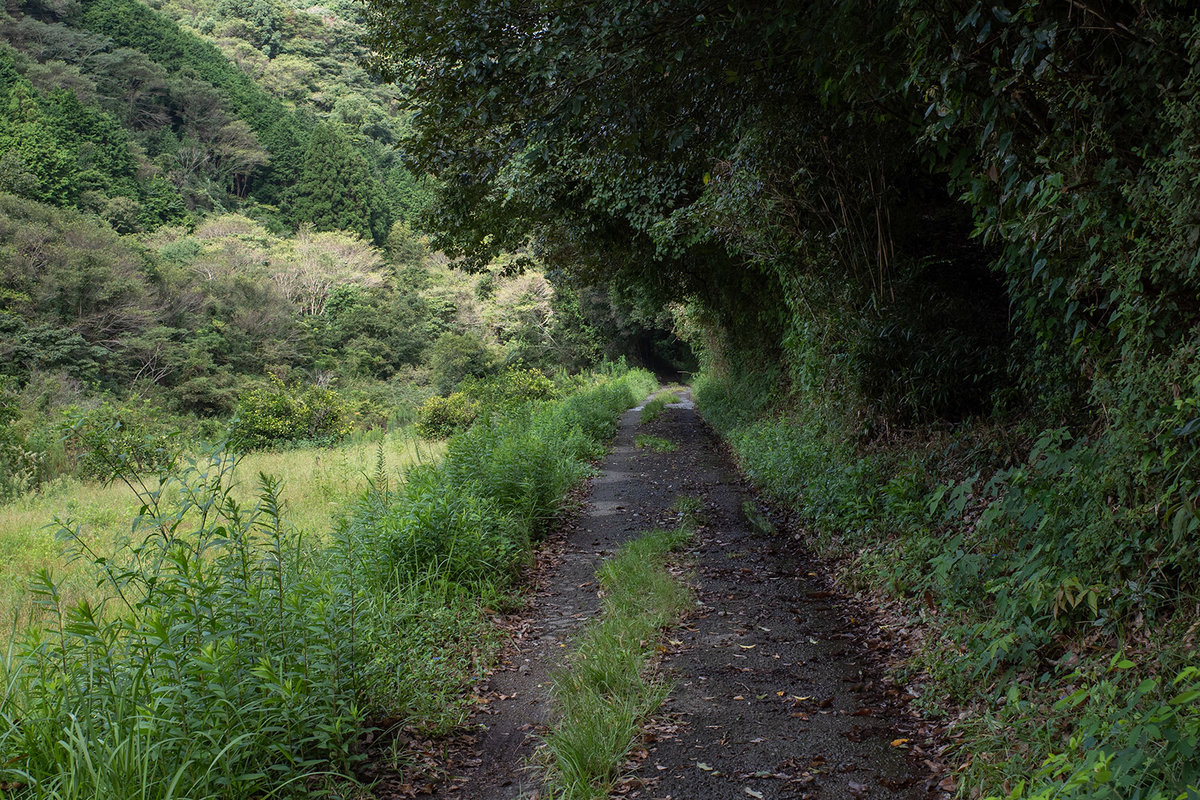 倉谷温泉跡