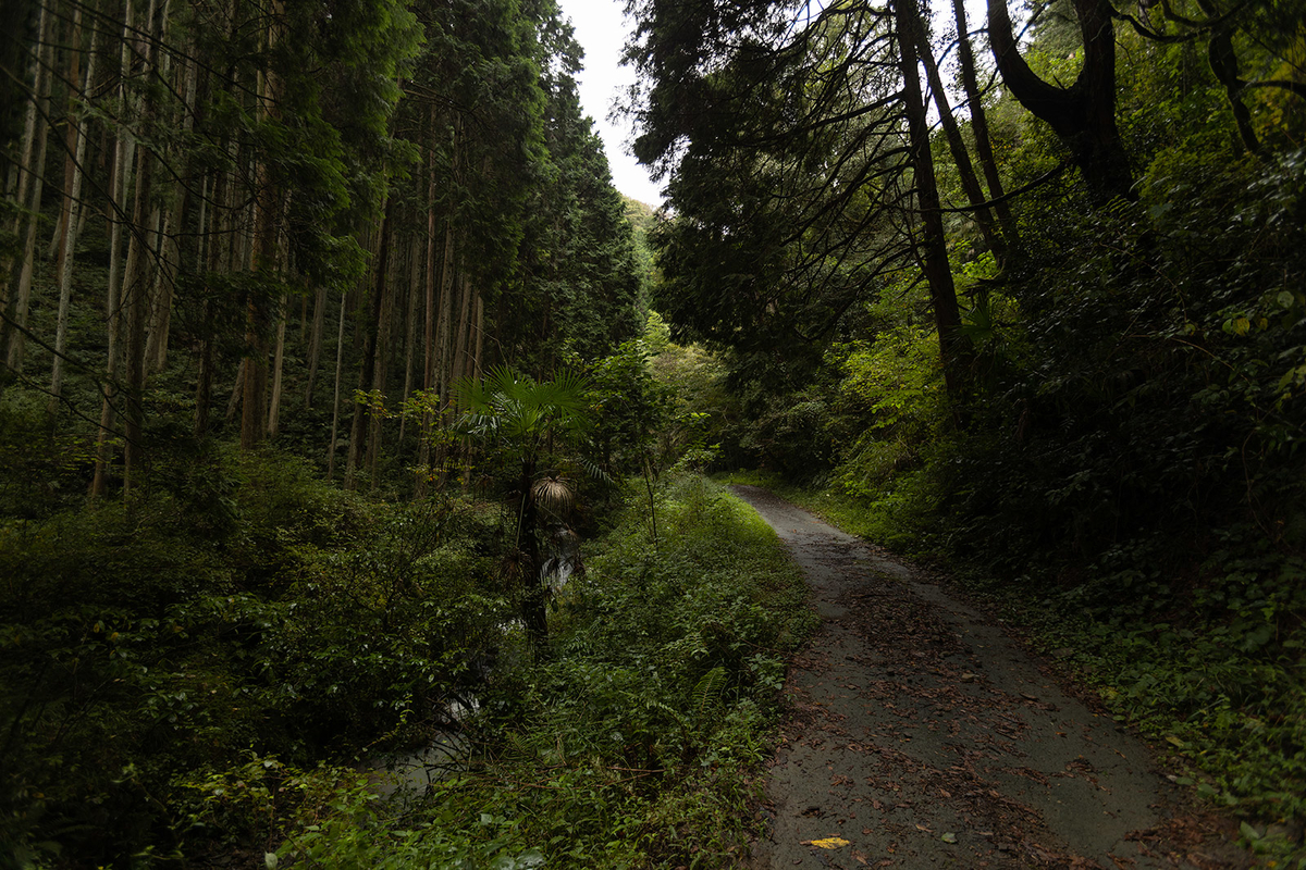 倉谷温泉跡