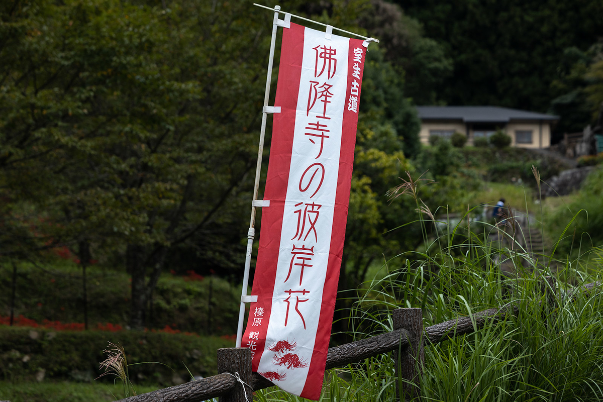 仏隆寺の彼岸花