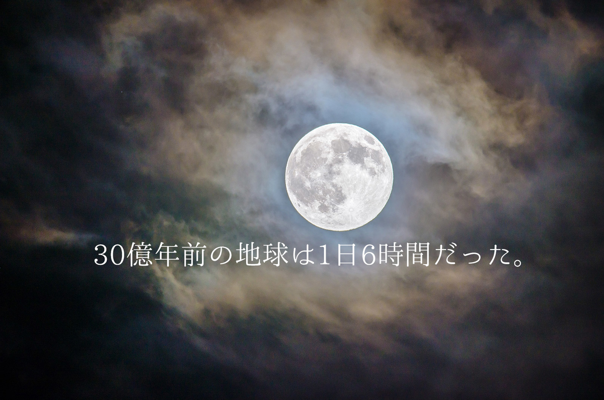 f:id:kumakumakoara:20211005162821j:plain