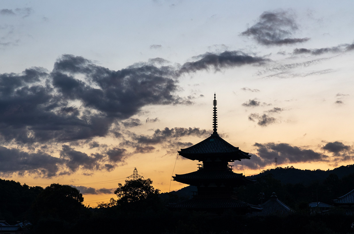 コスモス畑と法起寺