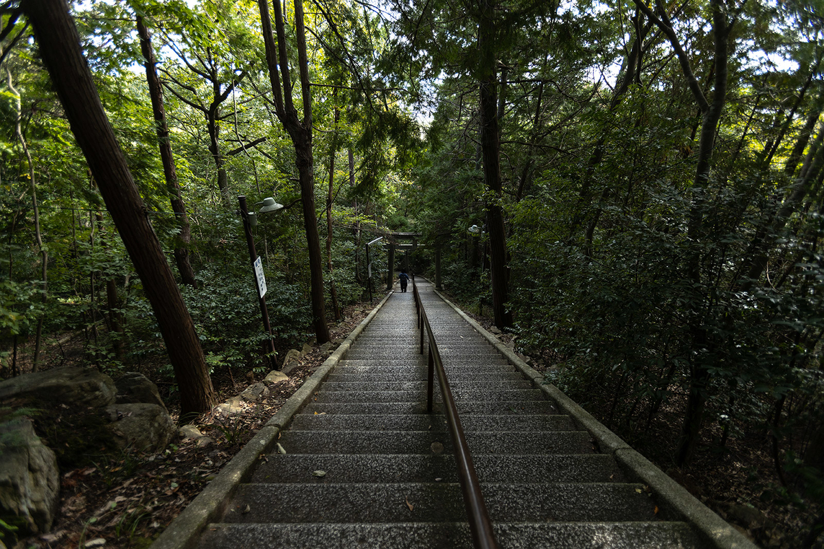 滋賀県の絶景スポット。天空のパワースポット「太郎坊宮」