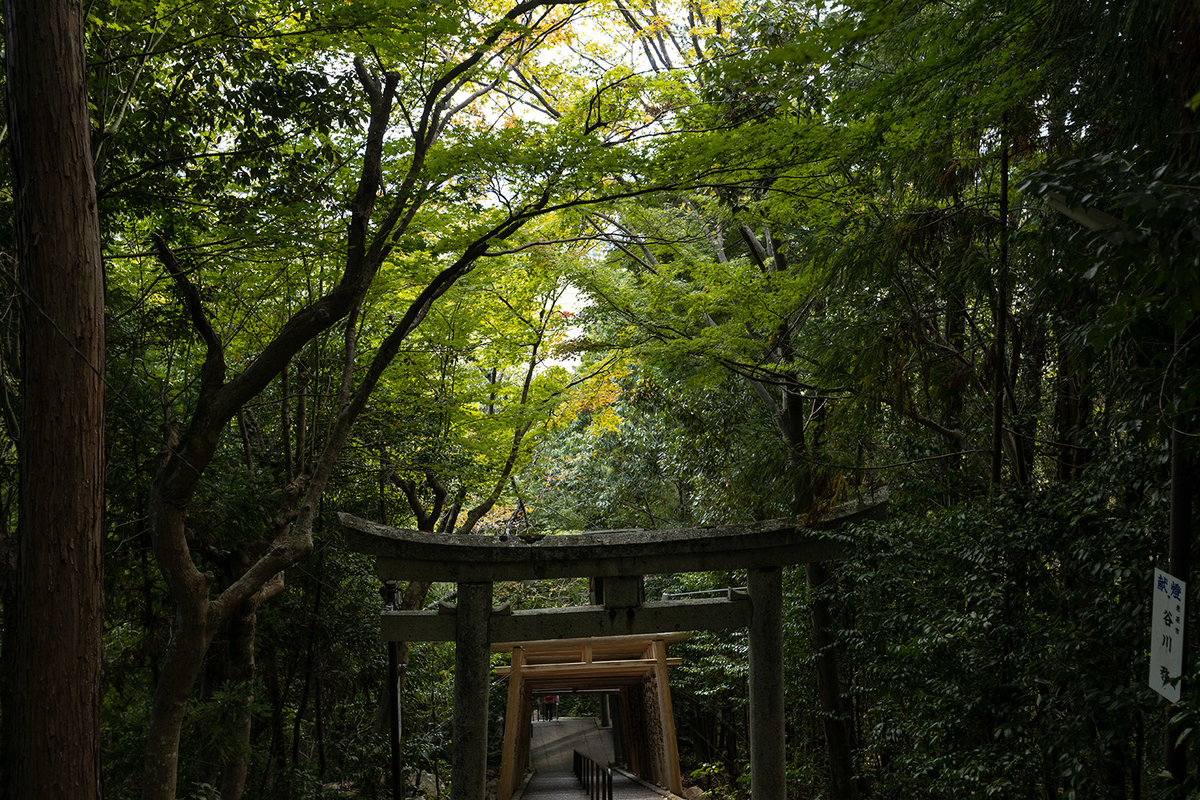 滋賀県の絶景スポット。天空のパワースポット「太郎坊宮」