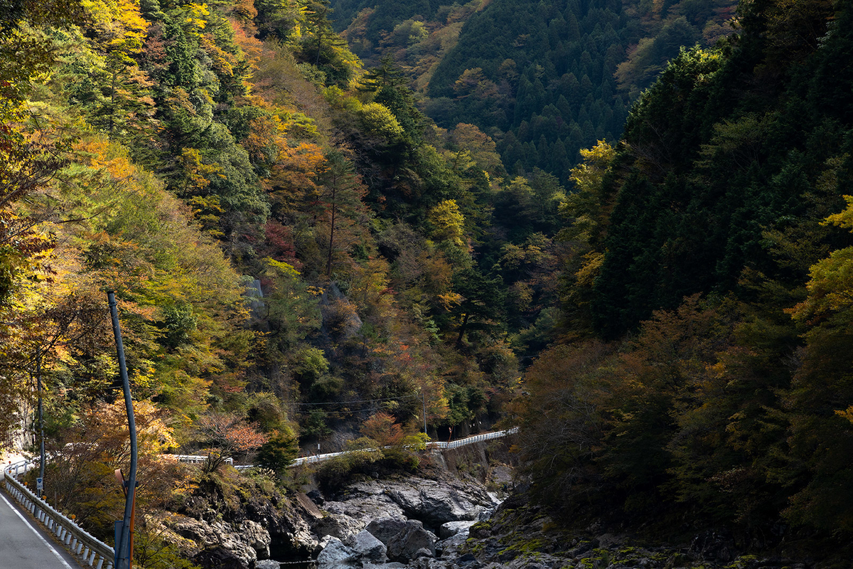 奈良県みたらい渓谷の紅葉