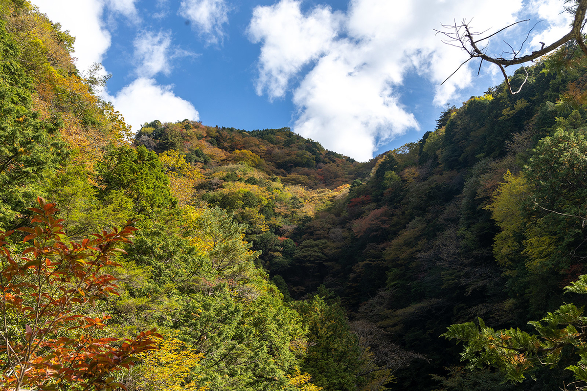 奈良県の紅葉スポット、秘境みたらい渓谷