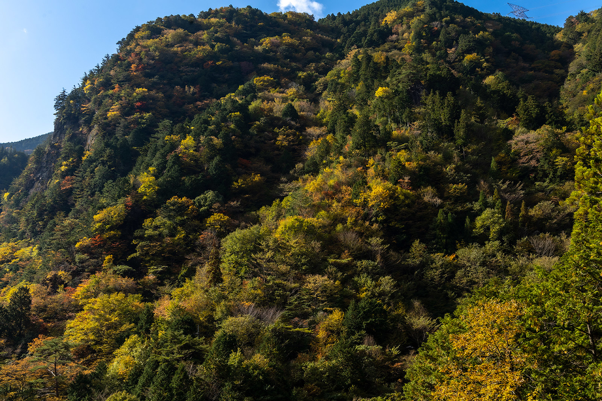 奈良県の紅葉スポット、秘境みたらい渓谷