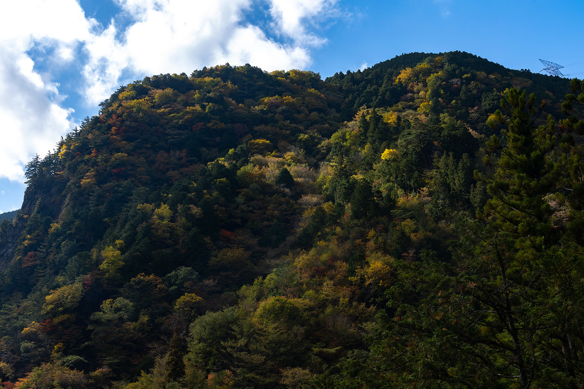 奈良県の紅葉スポット、秘境みたらい渓谷