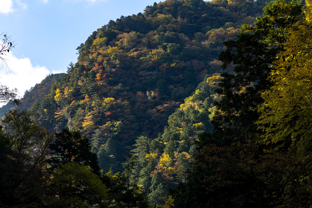 奈良県の紅葉スポット、秘境みたらい渓谷