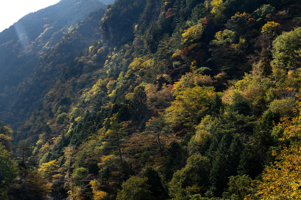 奈良県の紅葉スポット、秘境みたらい渓谷