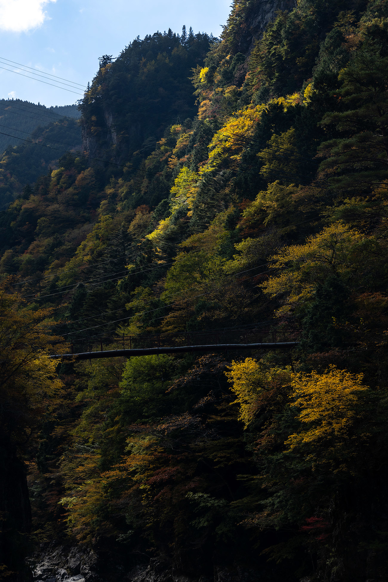 奈良県の紅葉スポット、秘境みたらい渓谷