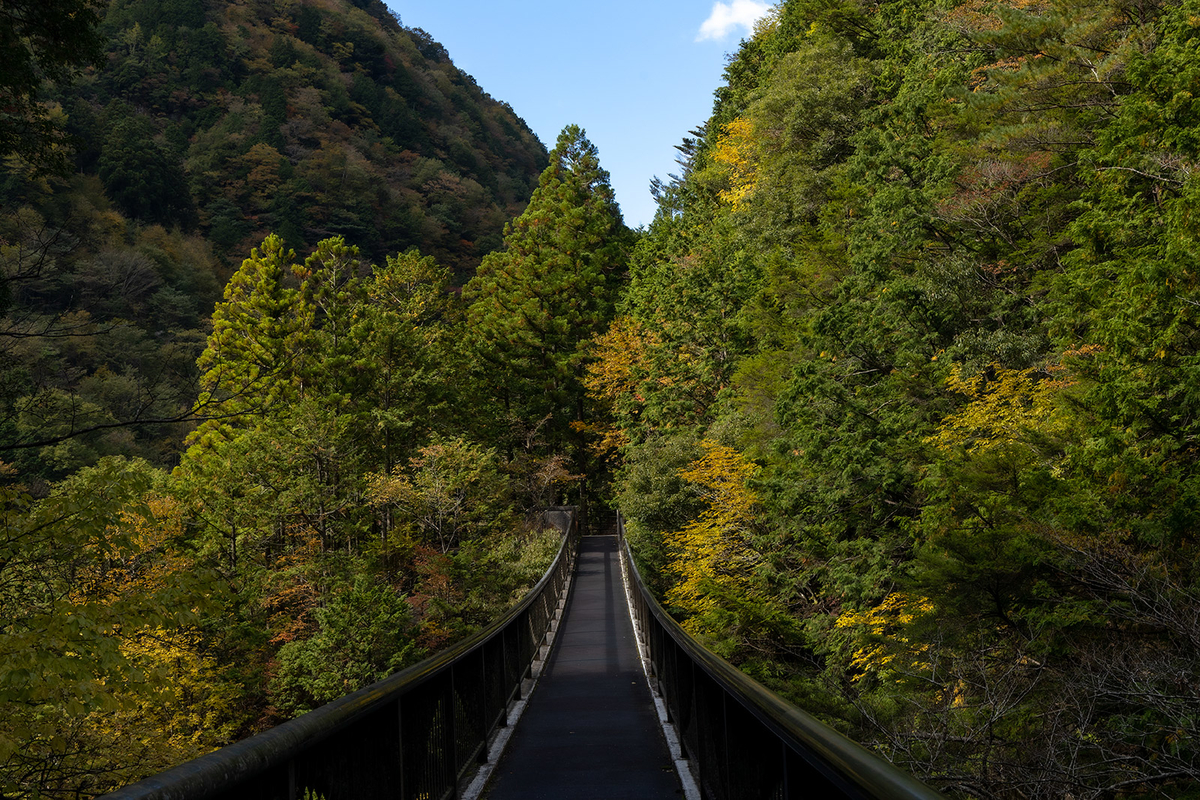 奈良県の紅葉スポット、秘境みたらい渓谷