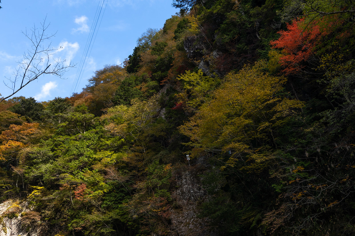 奈良県の紅葉スポット、秘境みたらい渓谷