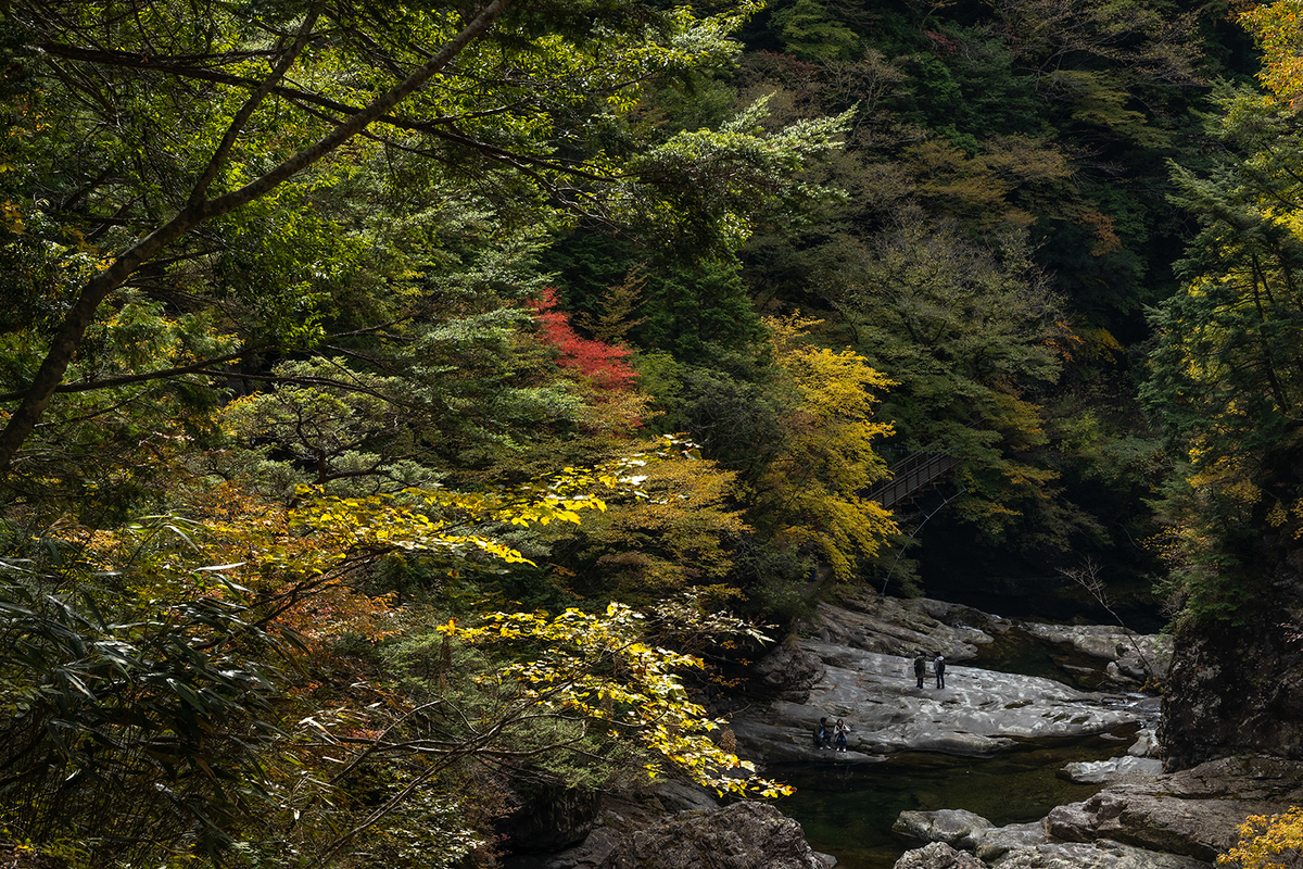 奈良県の紅葉スポット、秘境みたらい渓谷