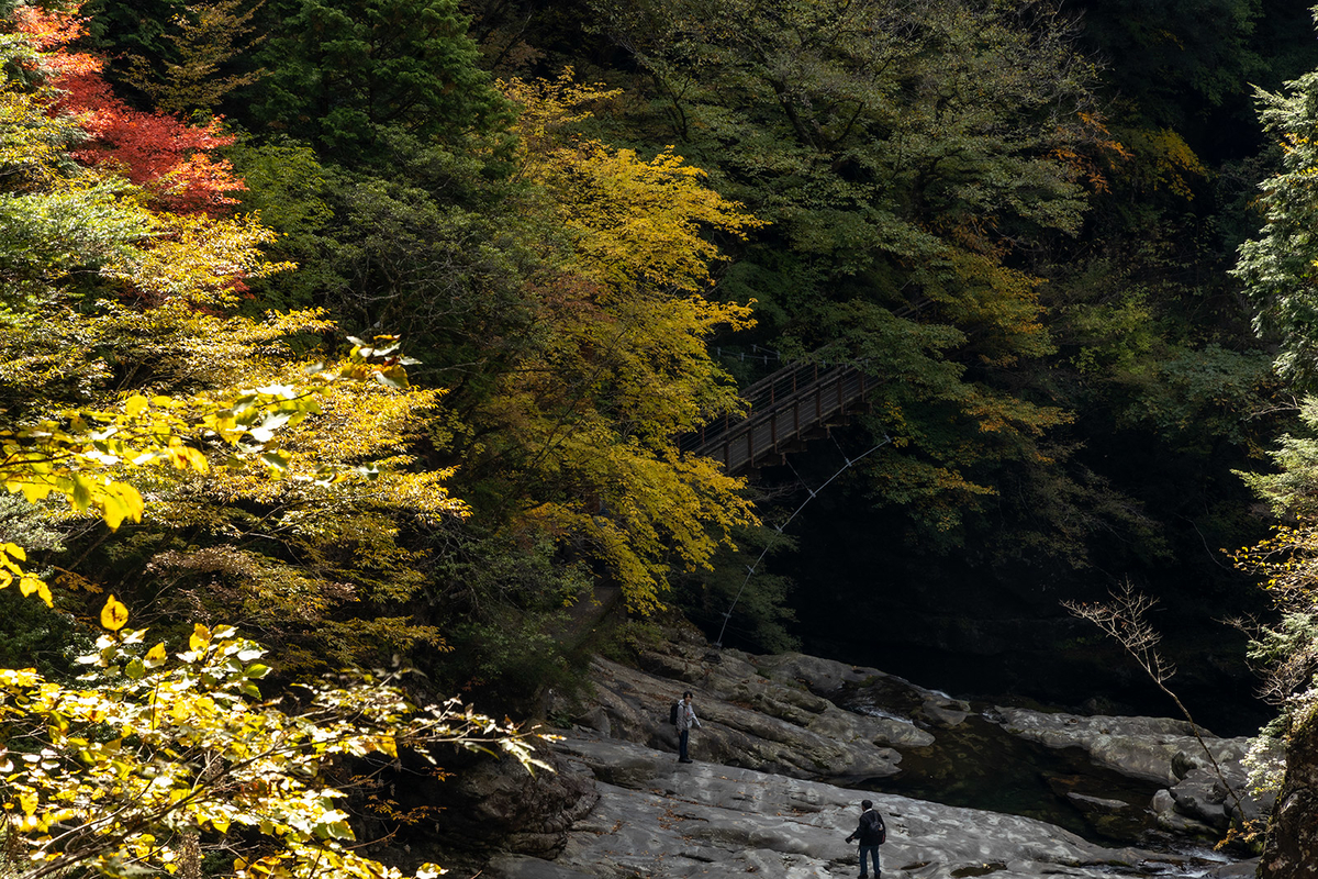 奈良県の紅葉スポット、秘境みたらい渓谷