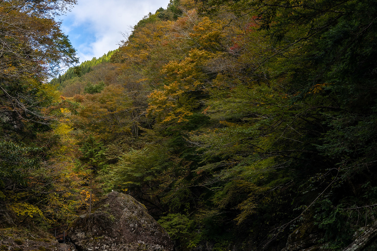 奈良県の紅葉スポット、秘境みたらい渓谷