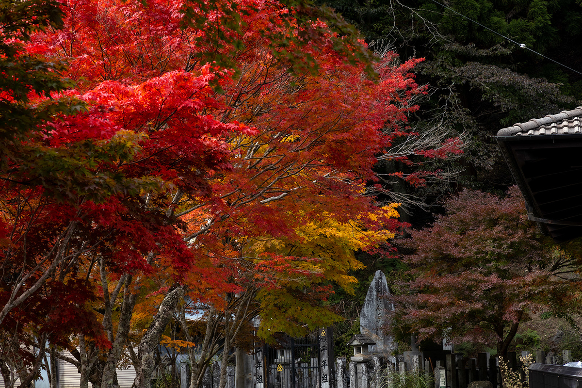 龍泉寺