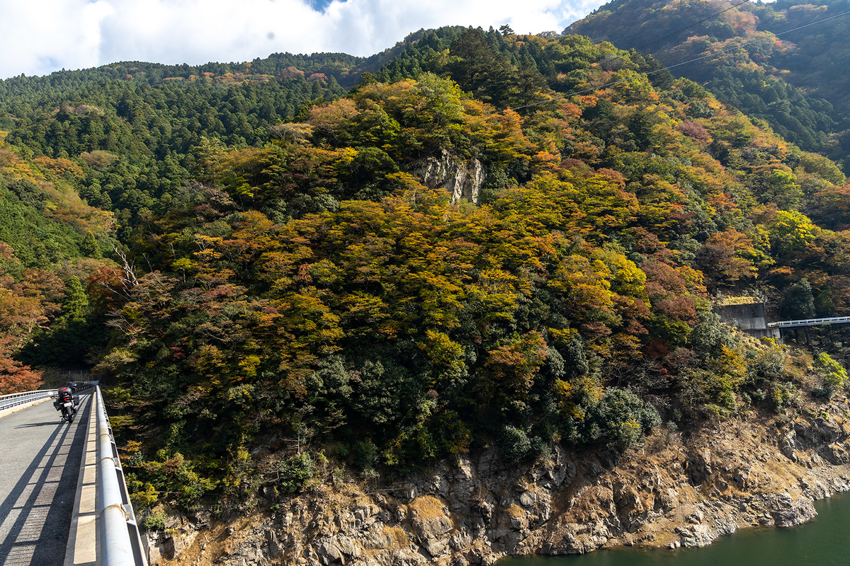 奈良県の紅葉