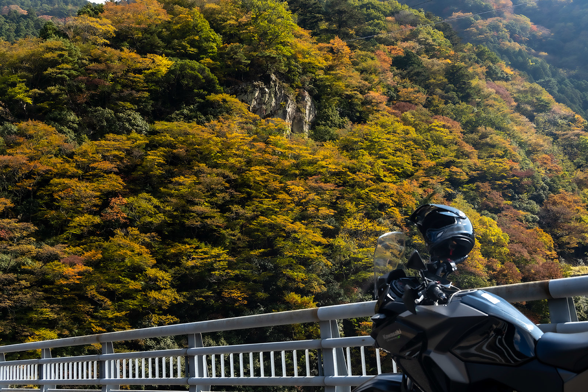 奈良県の紅葉