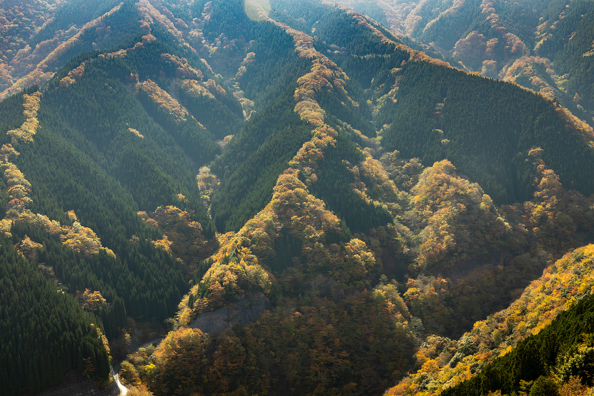 奈良県の紅葉スポットなめご谷