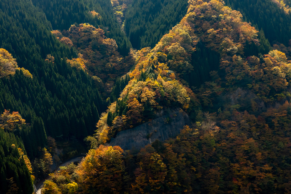 奈良県の紅葉スポットなめご谷