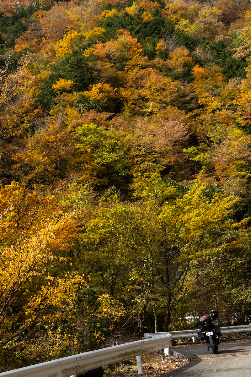 奈良県の紅葉スポット