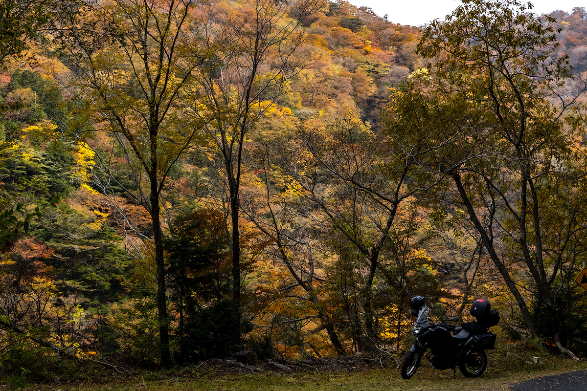 奈良県の紅葉スポット