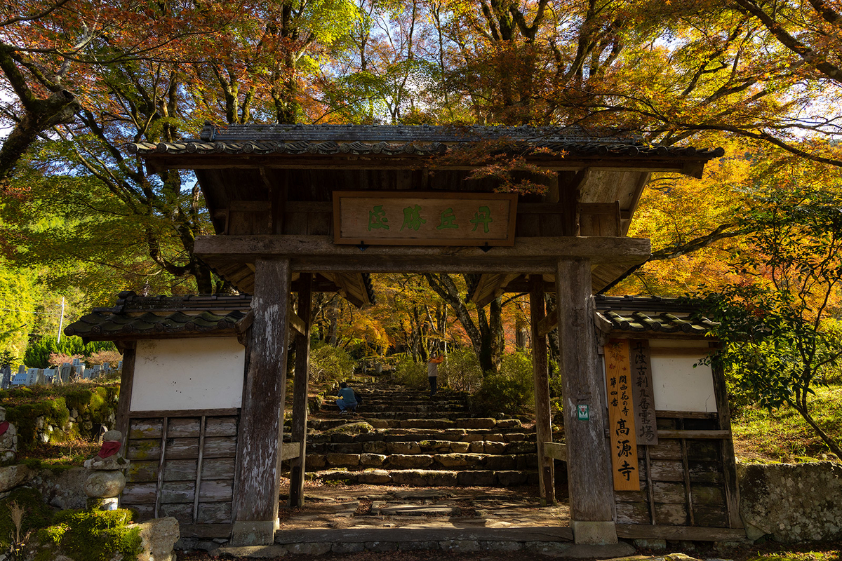 兵庫県の紅葉スポット高源寺