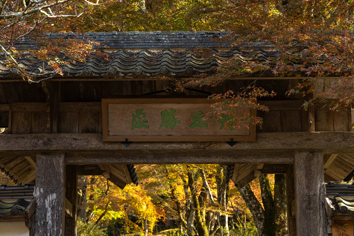 兵庫県の紅葉スポット高源寺