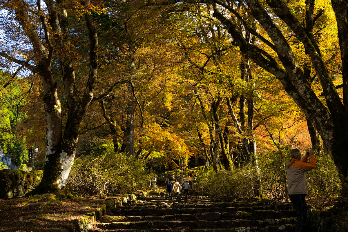 兵庫県の紅葉スポット高源寺