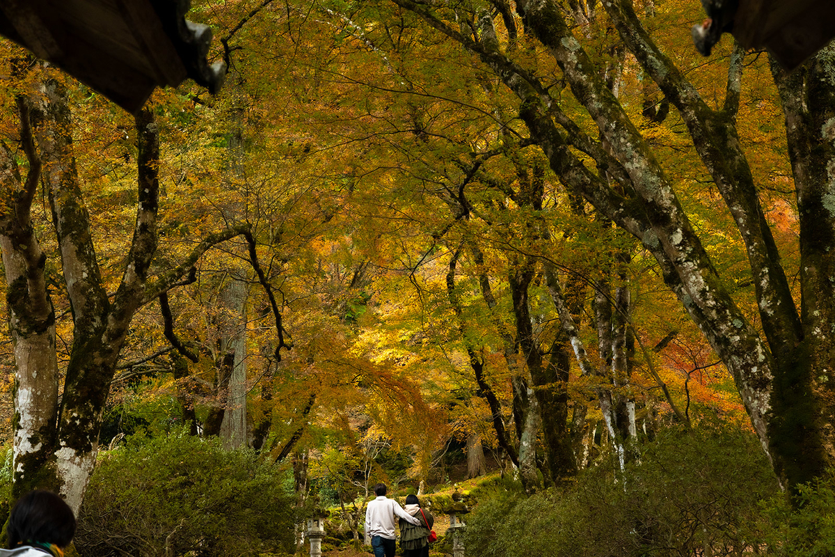 兵庫県の紅葉スポット高源寺