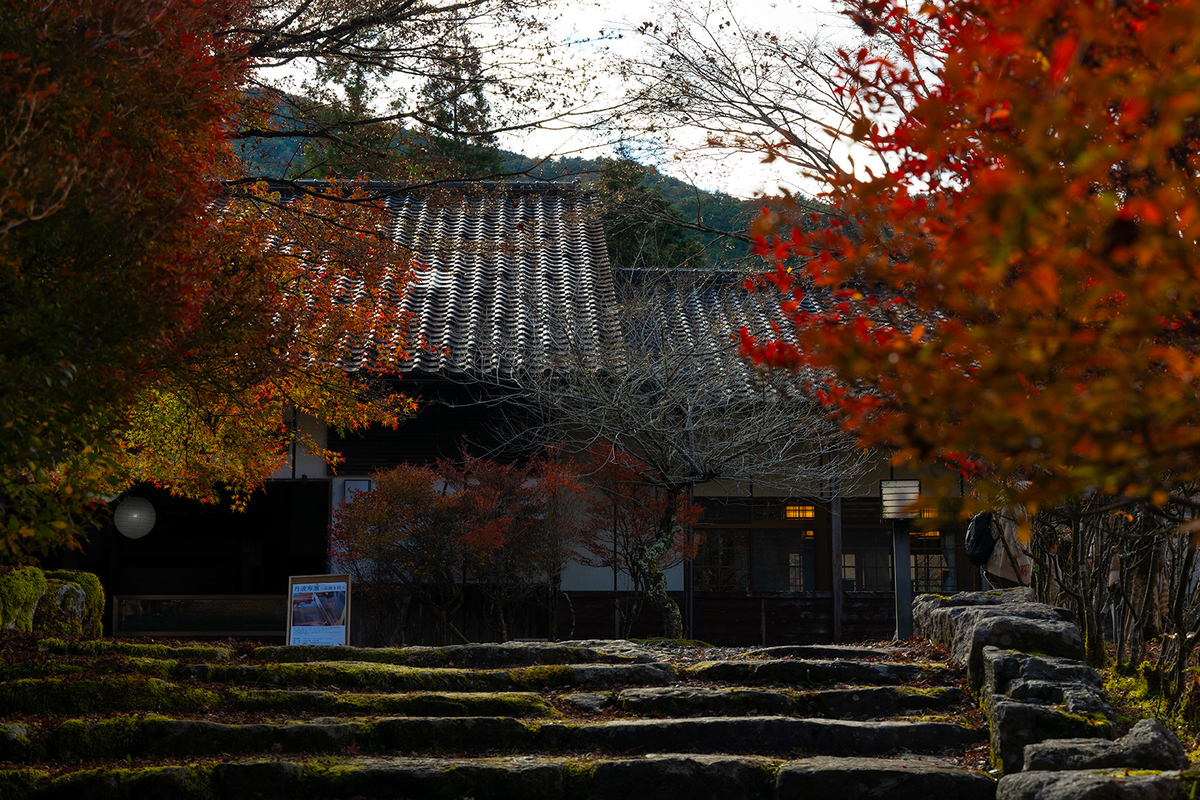 兵庫県の紅葉スポット高源寺