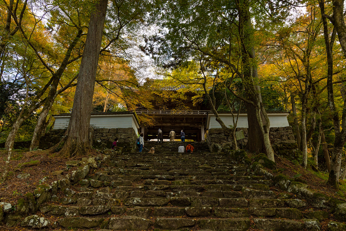 兵庫県の紅葉スポット高源寺