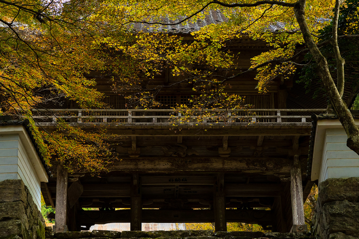 兵庫県の紅葉スポット高源寺