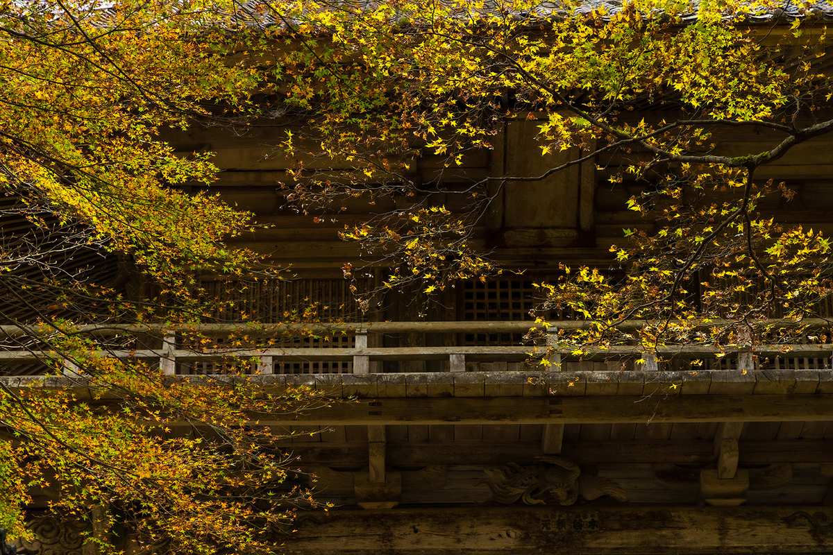 兵庫県の紅葉スポット高源寺