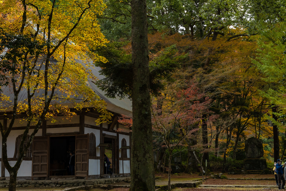 兵庫県の紅葉スポット高源寺