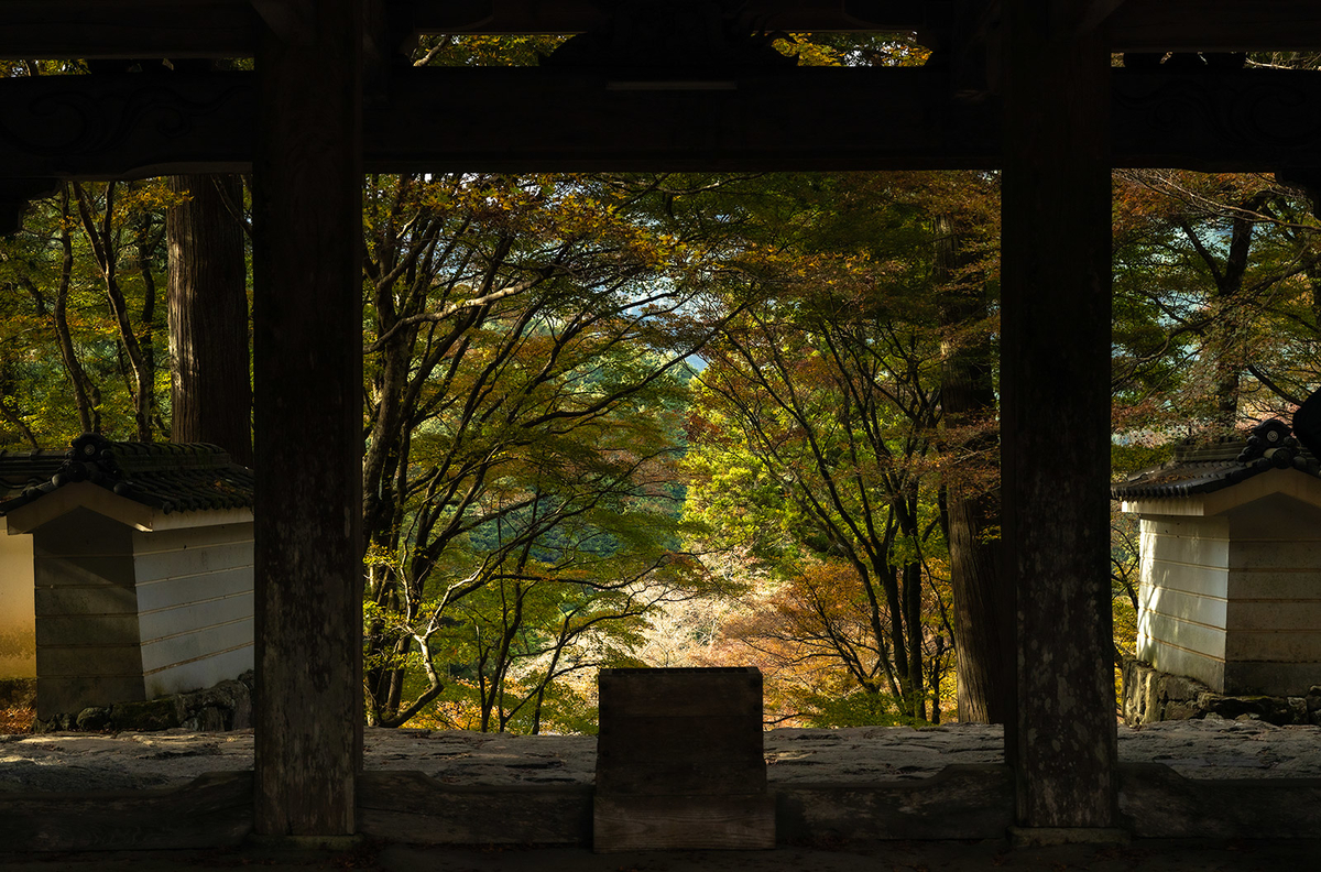 兵庫県の紅葉スポット高源寺