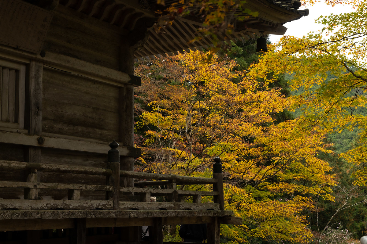 兵庫県の紅葉スポット高源寺