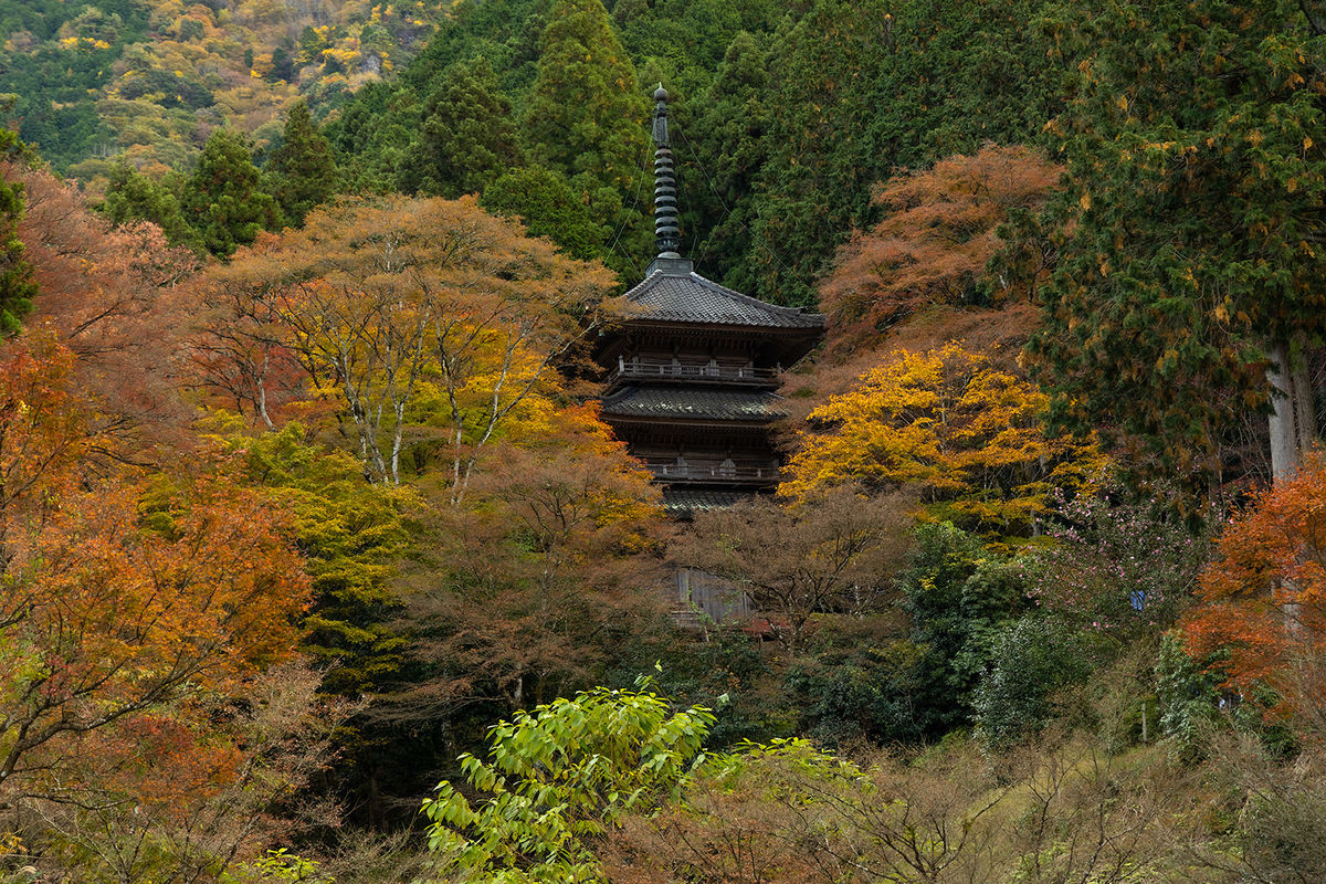 兵庫県の紅葉スポット高源寺