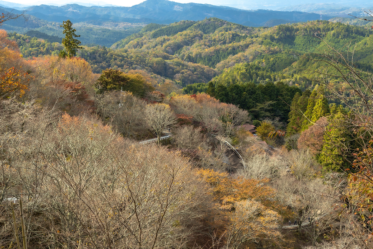 紅葉の吉野山