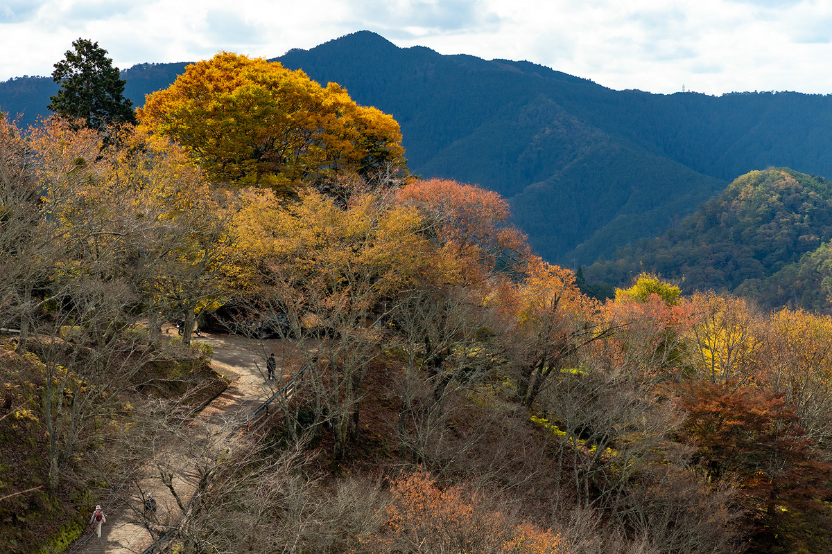 紅葉の吉野山